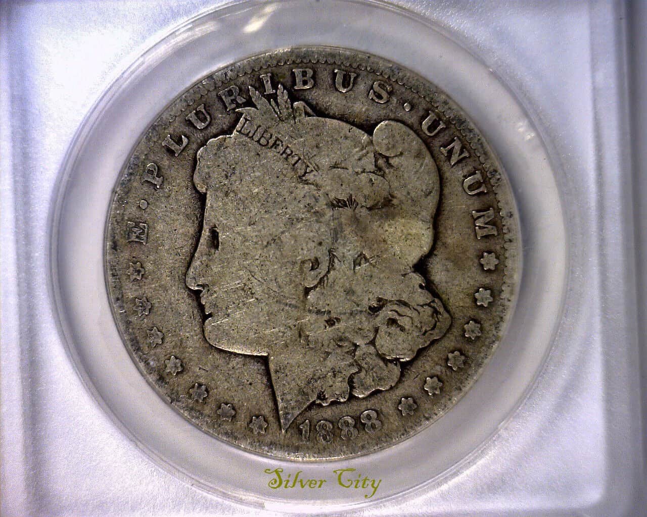 1888 Silver Dollar VAMs Error