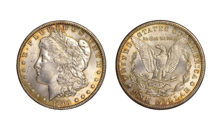 1901 Silver Dollar Value: How Much is it Worth Today?