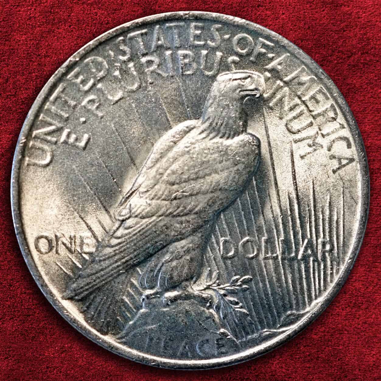 1923 No Mint Mark P Silver Dollar Value