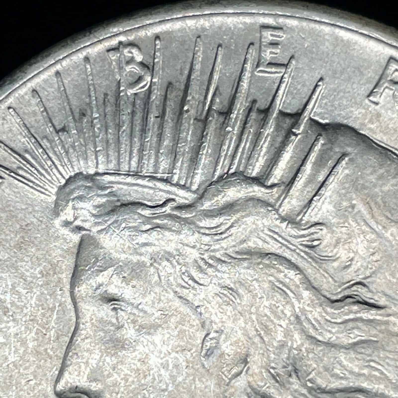 1925 Silver Dollar VAM 1A Die Gouge Error