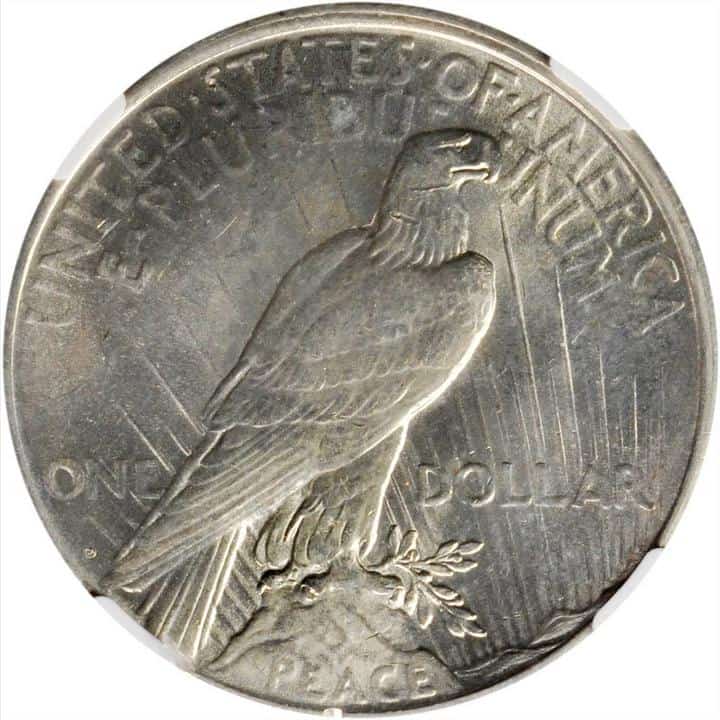 1926 Denver Peace Silver Dollar Reverse Misaligned Die