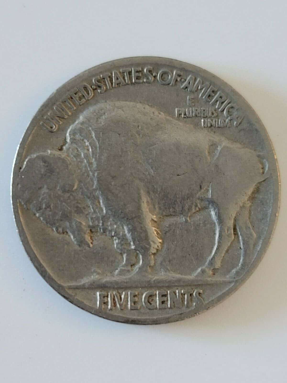 1937 No Mint Mark Buffalo Nickel (P) Value